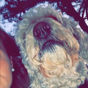 Meet your Posher, Caroline